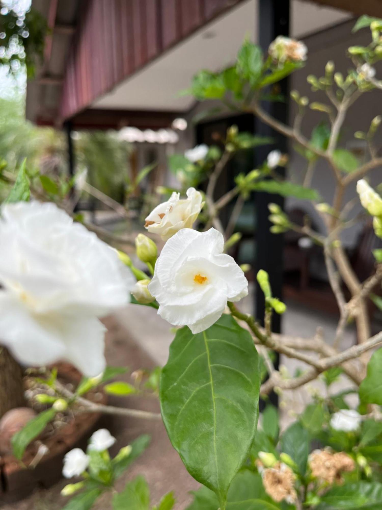 The Cosy Sunset Beach Resort & Restaurant 通萨拉 外观 照片